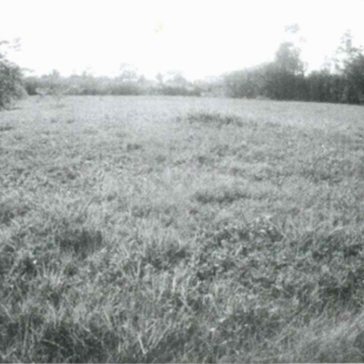 VACANT LOT NO. 193 GEORGEVILLE, CAYO DISTRICT: