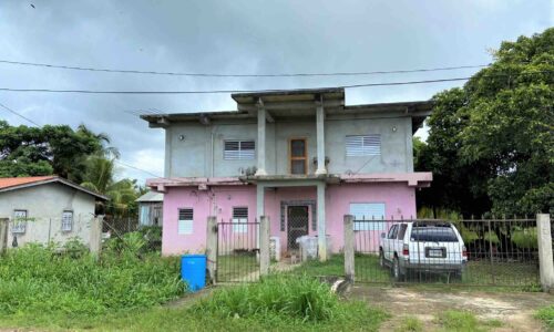 LOT NO. 48 HERCULES AVENUE, INDEPENDENCE VILLAGE, STANN CREEK DISTRICT: