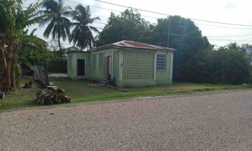 Parcel No. 1033 F Street South, Corozal Town, Corozal District: