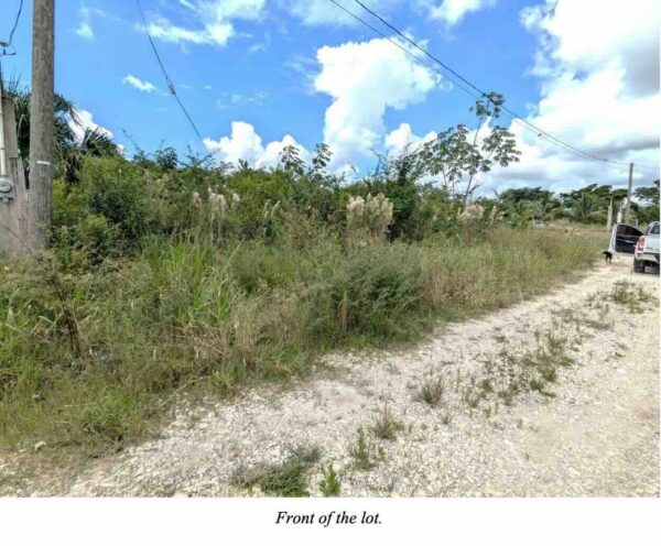 PARCEL NO. 4138 NORTH OF SAN MARTIN STREET WEST, TRIAL FARM VILLAGE, ORANGE WALK DISTRICT: