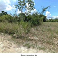 PARCEL NO. 4138 NORTH OF SAN MARTIN STREET WEST, TRIAL FARM VILLAGE, ORANGE WALK DISTRICT: - Image 5