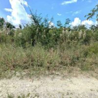PARCEL NO. 4138 NORTH OF SAN MARTIN STREET WEST, TRIAL FARM VILLAGE, ORANGE WALK DISTRICT: - Image 4