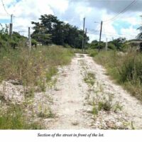 PARCEL NO. 4138 NORTH OF SAN MARTIN STREET WEST, TRIAL FARM VILLAGE, ORANGE WALK DISTRICT: - Image 3