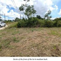 PARCEL NO. 4138 NORTH OF SAN MARTIN STREET WEST, TRIAL FARM VILLAGE, ORANGE WALK DISTRICT: - Image 2