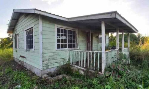 LEASEHOLD PARCEL NO. 603/1 SAN ESTEVAN VILLAGE, ORANGE WALK DISTRICT: