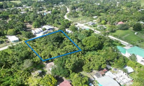 Parcel No. 716 Progresso Village, Corozal District: