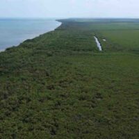 PARCEL NO. 155 SIBUN BIGHT, CANAL SIDE, EAST OF BOURDON CANAL BRIDGE, NEAR MILE 5 GEORGE PRICE HIGHWAY, BELIZE CITY: - Image 6