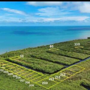 PARCEL NO. 155 SIBUN BIGHT, CANAL SIDE, EAST OF BOURDON CANAL BRIDGE, NEAR MILE 5 GEORGE PRICE HIGHWAY, BELIZE CITY: