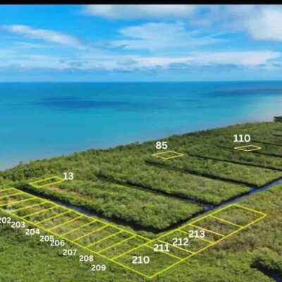 PARCEL NO. 155 SIBUN BIGHT, CANAL SIDE, EAST OF BOURDON CANAL BRIDGE, NEAR MILE 5 GEORGE PRICE HIGHWAY, BELIZE CITY: