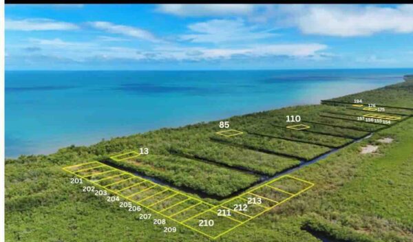 PARCEL NO. 155 SIBUN BIGHT, CANAL SIDE, EAST OF BOURDON CANAL BRIDGE, NEAR MILE 5 GEORGE PRICE HIGHWAY, BELIZE CITY: