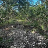 PARCEL NO. 155 SIBUN BIGHT, CANAL SIDE, EAST OF BOURDON CANAL BRIDGE, NEAR MILE 5 GEORGE PRICE HIGHWAY, BELIZE CITY: - Image 7