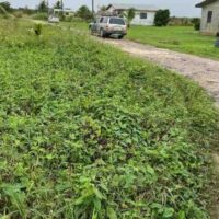 LOT NO. 92 WINDMILL AREA, HATTIEVILLE, BELIZE DISTRICT: - Image 9