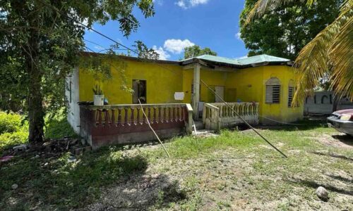 PARCEL NO. 523 SAN ESTEVAN VILLAGE, ORANGE WALK DISTRICT: