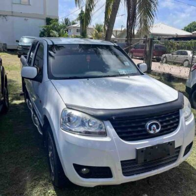 2019 FOUR DOOR GREAT WALL WINGLE: