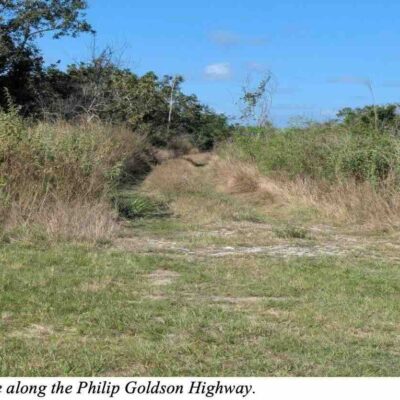 10.847 ACRES OFF PHILIP GOLDSON HIGHWAY NEAR MILE 46 1/2 CARMELITA VILLAGE, ORANGE WALK DISTRICT:
