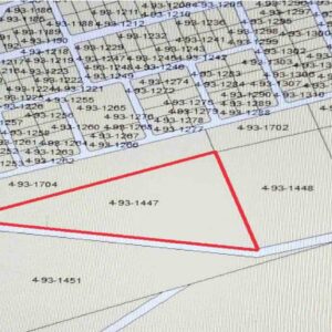 10.847 ACRES OFF PHILIP GOLDSON HIGHWAY NEAR MILE 46 1/2 CARMELITA VILLAGE, ORANGE WALK DISTRICT: