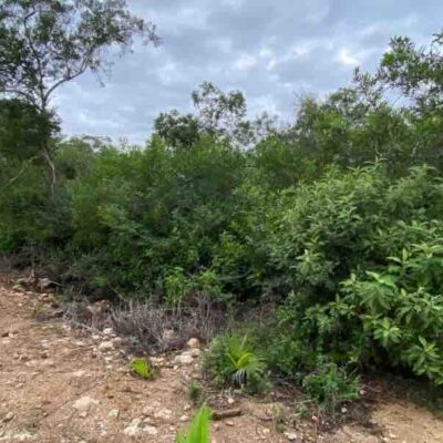 PARCEL NO. 1106 SITUATE WITHIN THE SEASIDE SUBDIVISION, ORCHID BAY, COROZAL DISTRICT: