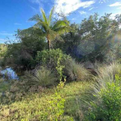 PARCEL NO. 1212 SITUATE WITHIN THE SEASIDE SUBDIVISION, ORCHID BAY, COROZAL DISTRICT: