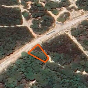 PARCEL NO.1065 SITUATE WITHIN THE SEASIDE SUBDIVISION, ORCHID BAY, COROZAL DISTRICT: