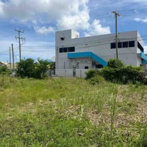 LOT NO. 972 CORNER ARIEL ROSADO DRIVE AND PHILIP GOLDSON HIGHWAY, BELIZE CITY, BELIZE: