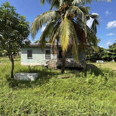 LOT NO. 190 NEAR MILE 16.5 GEORGE PRICE HIGHWAY, HATTIEVILLE , BELIZE DISTRICT: