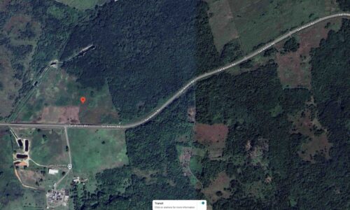 50.133 ACRES OF UNDEVELOPED LAND ON THE SAN ANTONIO ROAD, 2.67 MILES  WEST OF ORANGE WALK TOWN, ORANGE WALK DISTRICT: