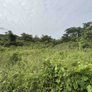 PARCEL NO.3028 WEST POISON WOOD STREET, SAN IGNACIO NORTH, CAYO DISTRICT: