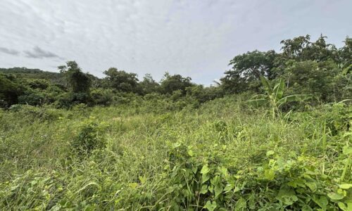 PARCEL NO.3028 WEST POISON WOOD STREET, SAN IGNACIO NORTH, CAYO DISTRICT: