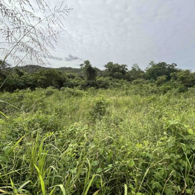 PARCEL NO.3028 WEST POISON WOOD STREET, SAN IGNACIO NORTH, CAYO DISTRICT: