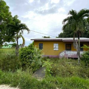 LOT NO. 192 NEAR MILE 16.5 GEORGE PRICE HIGHWAY, HATTIEVILLE , BELIZE DISTRICT:
