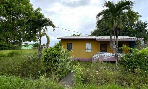 LOT NO. 192 NEAR MILE 16.5 GEORGE PRICE HIGHWAY, HATTIEVILLE , BELIZE DISTRICT: