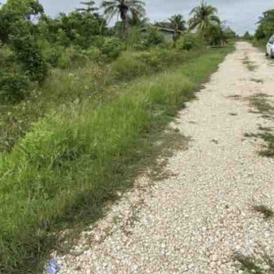 LOT NO. 192 NEAR MILE 16.5 GEORGE PRICE HIGHWAY, HATTIEVILLE , BELIZE DISTRICT: