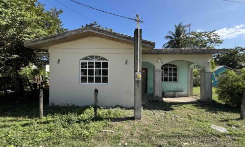PARCEL NO. 673 MAHOGANY STREET, TRIAL FARM VILLAGE, ORANGE WALK DISTRICT: