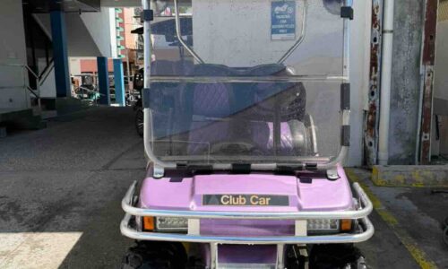 2010 CLUB CAR DS GOLF CART: