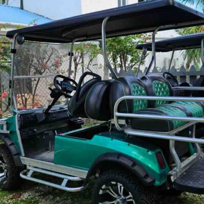 2008 CLUB CAR DS GOLF CART: