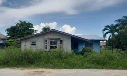 PARCEL NO. 7026 IN LOS LAGOS AREA, LADYVILLE, BELIZE DISTRICT:
