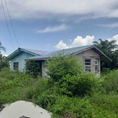 PARCEL NO. 7026 IN LOS LAGOS AREA, LADYVILLE, BELIZE DISTRICT: