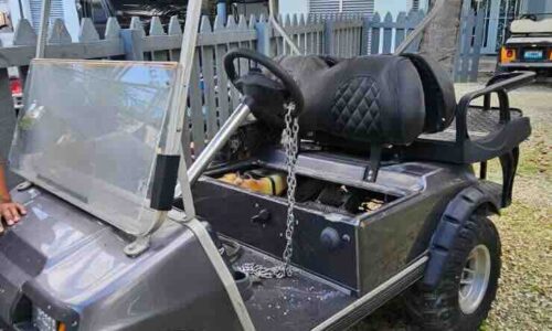 2003 CLUB CAR DS GOLF CART: