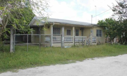 PARCEL NO. 889 SAN JOSE VILLAGE EXTENSION (LA COOPERATIVA LAYOUT), ORANGE WALK DISTRICT: