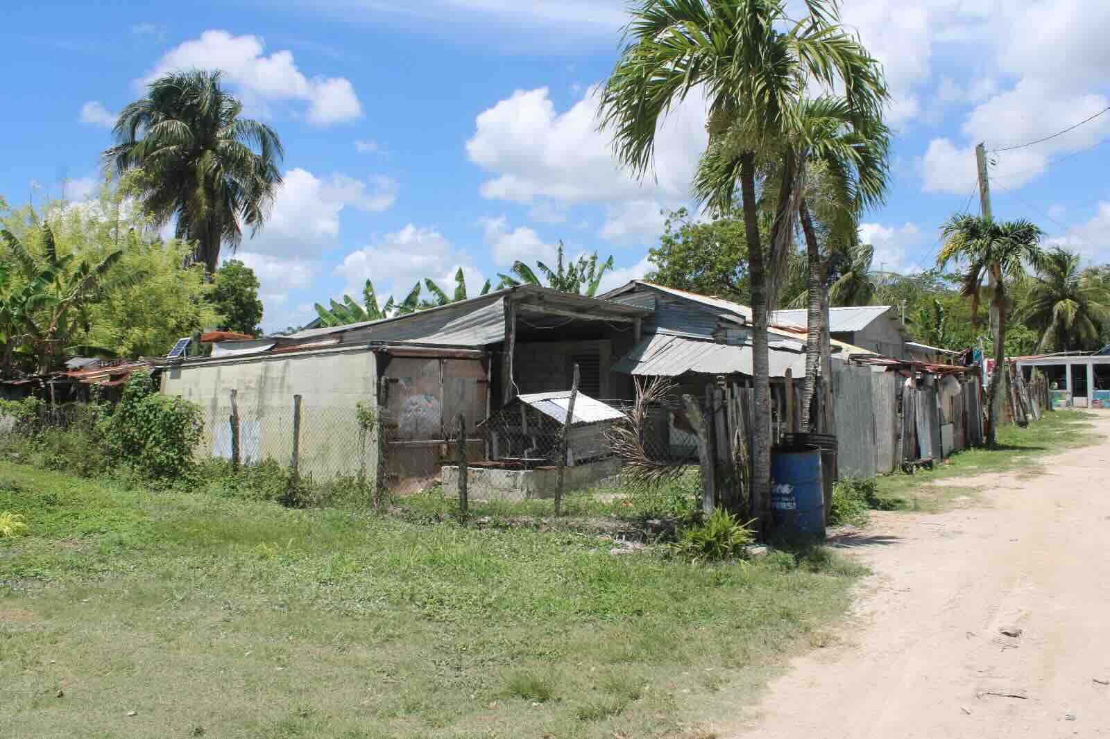 PARCEL NO. 235 SIBUN STREET, ALTAMIRA, COROZAL TOWN, COROZAL DISTRICT: - Image 4