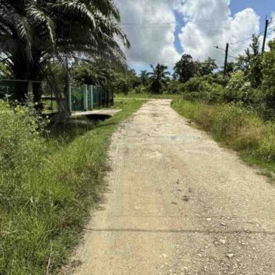 LOT NO. 249 MAXBORO AREA 1/2 MILE EAST OF PHILIP GOLDSON HIGHWAY , SANDHILL VILLAGE EXTENSION, BELIZE DISTRICT: