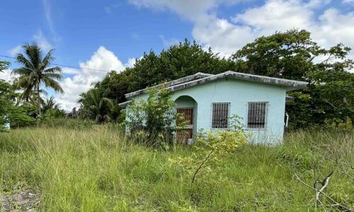 LOT NO. 249 MAXBORO AREA 1/2 MILE EAST OF PHILIP GOLDSON HIGHWAY , SANDHILL VILLAGE EXTENSION, BELIZE DISTRICT: