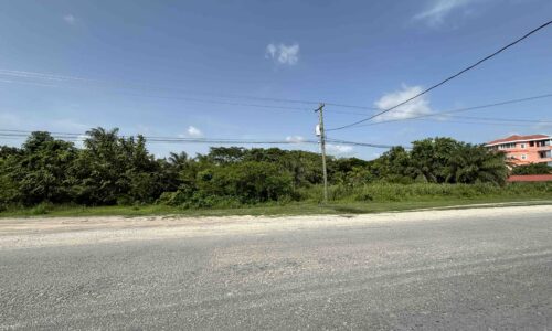 1.9468 ACRES WITH APPROX. 275 FEET HIGHWAY FRONTAGE, CORNER PHILIP GOLDSON HIGHWAY AND COROZO ROAD, SAN JOSE PALMAR, ORANGE WALK DISTRICT:
