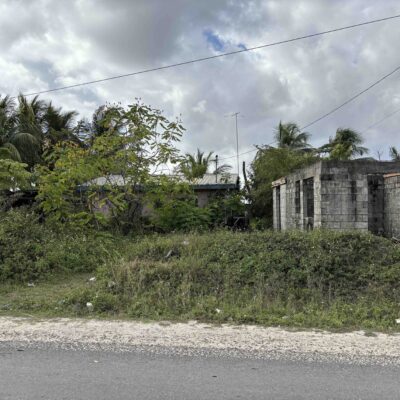 LOT NO. 60 SITUATED ALONG MUSSELL CREEK ROAD, BURREL BOOM VILLAGE, BELIZE DISTRICT: