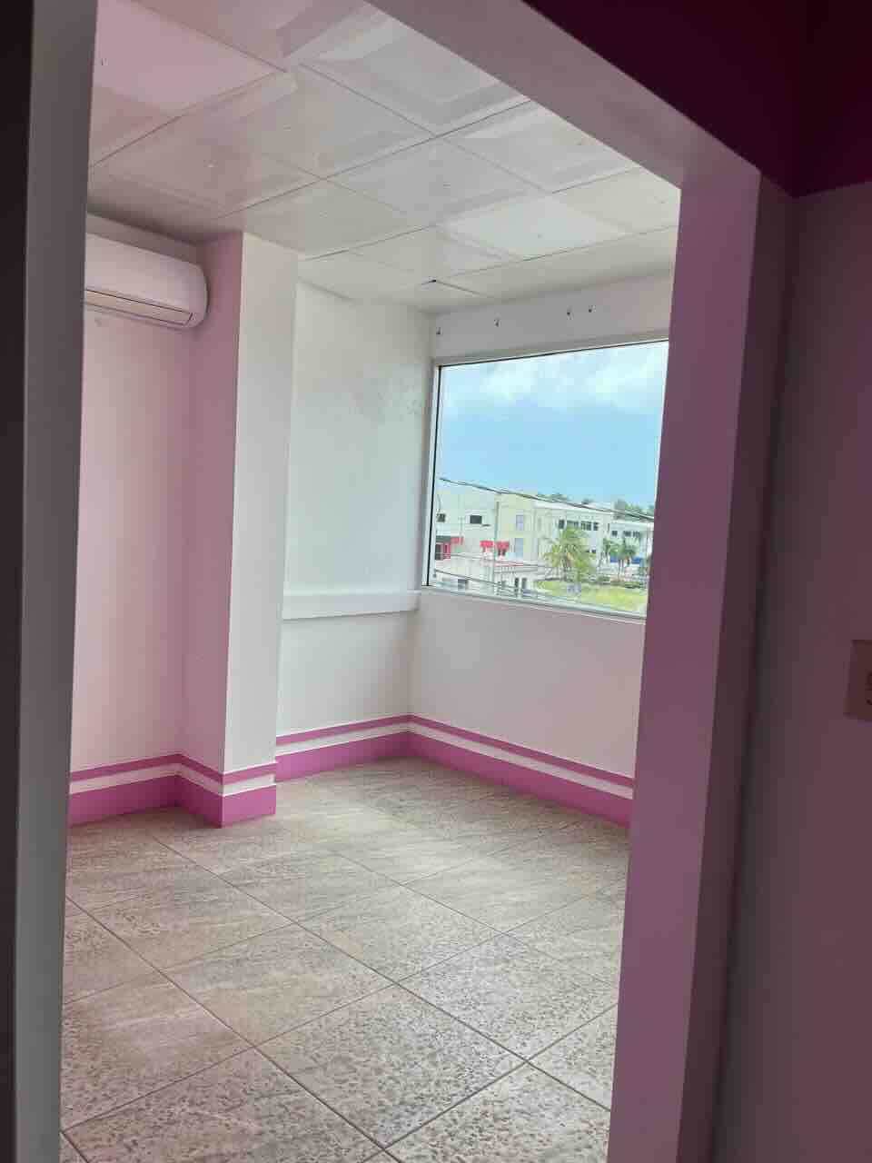 PARCEL NO. 399 NEAR MILE 2.5 ON PHILIP GOLDSON HIGHWAY, BELIZE CITY, BELIZE DISTRICT: - Image 33