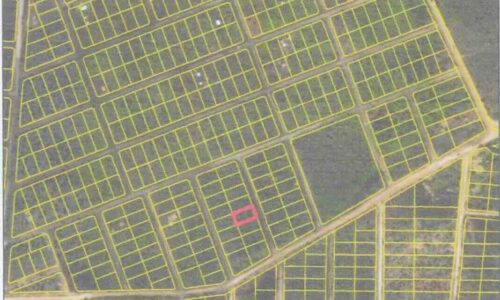 LOT NO. 295 GUTTIEVIEW AREA, INDEPENDENCE VILLAGE, STANN CREEK DISTRICT: