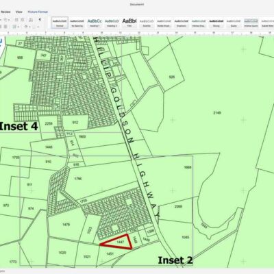 10.847 ACRES OFF PHILIP GOLDSON HIGHWAY NEAR MILE 46 1/2 CARMELITA VILLAGE, ORANGE WALK DISTRICT: