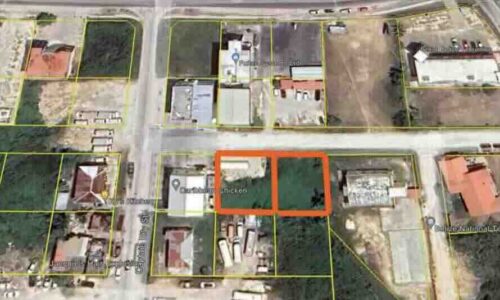 PARCEL NO. 843 & 844 EAST OF CAPTAIN EILY STREET NEAR ITS INTERSECTION WITH CONEY DRIVE , BELIZE CITY, BELIZE DISTRICT: