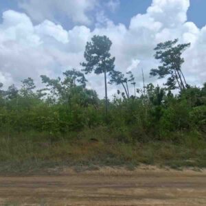 LOT NO. 295 GUTIEVIEW AREA, INDEPENDENCE VILLAGE, STANN CREEK DISTRICT: