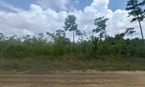 LOT NO. 295 GUTIEVIEW AREA, INDEPENDENCE VILLAGE, STANN CREEK DISTRICT: